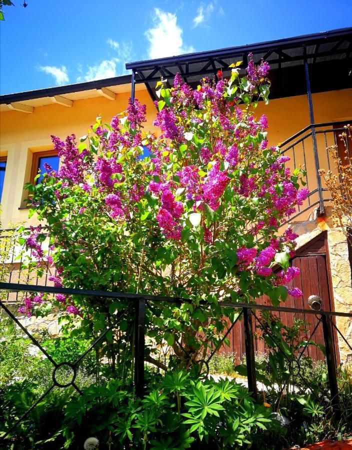 Paradise Garden SJJ Esterno foto